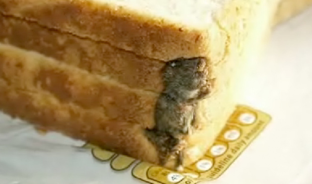 Mouse Baked into Bread