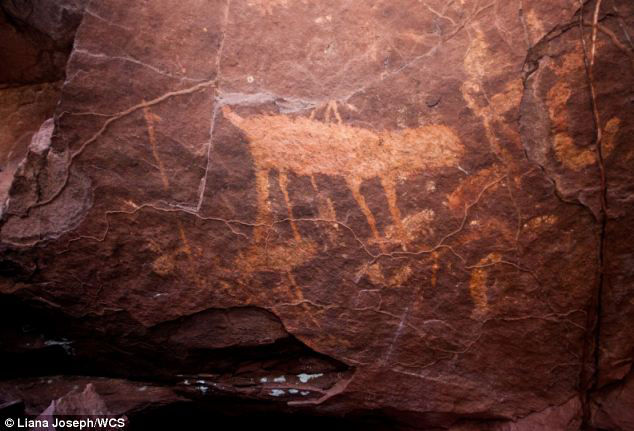 ancient cave drawings made by hunter-gatherer societies thousands of years ago