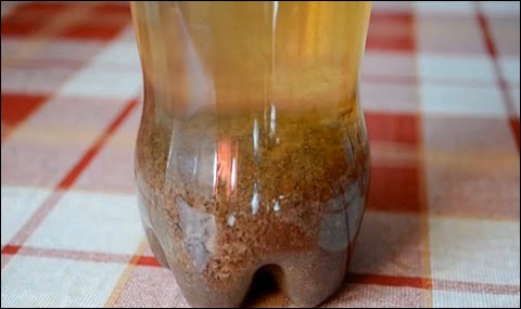 You May Never Drink Coke Again After Watching This Experiment