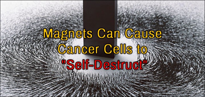 Scientists In Korea Have Found Magnets To Be A Cure For Cancer