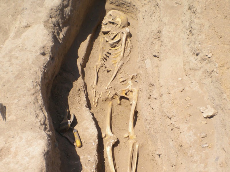 A skeleton in a grave in northern Syria in 2010 by Gil Stein/Oriental Institute, University of Chicago