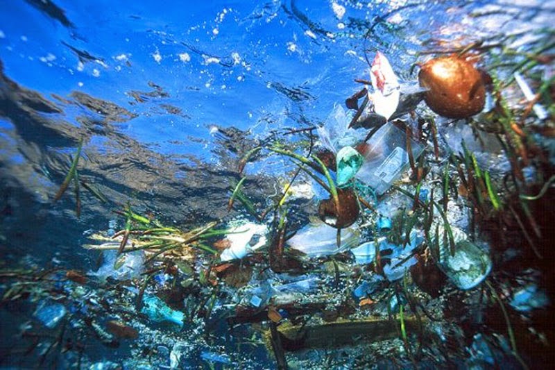 Plastics In The Ocean Are Disappearing Mysteriously
