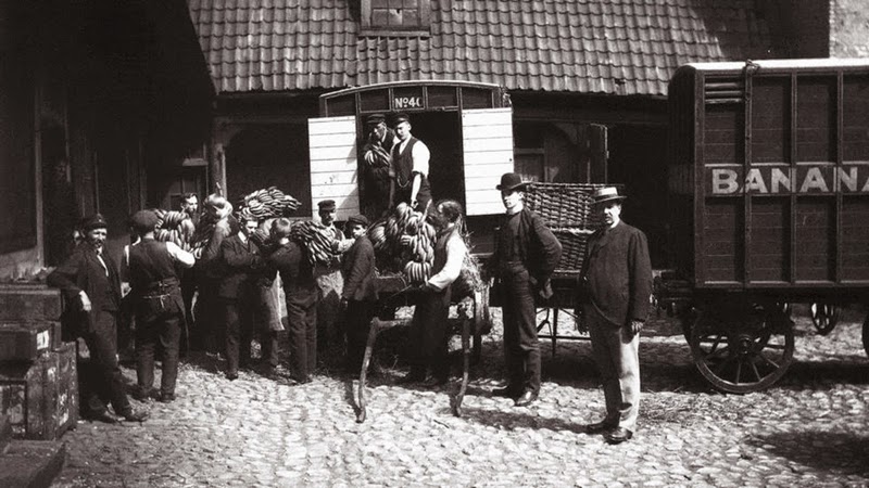 1905, first bananas in Norway