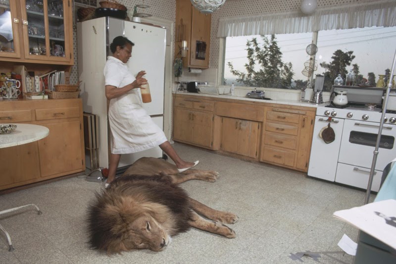 Family That Lived With A lion