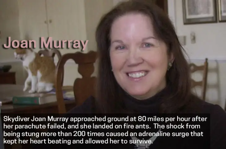 survivor Joan Murray 