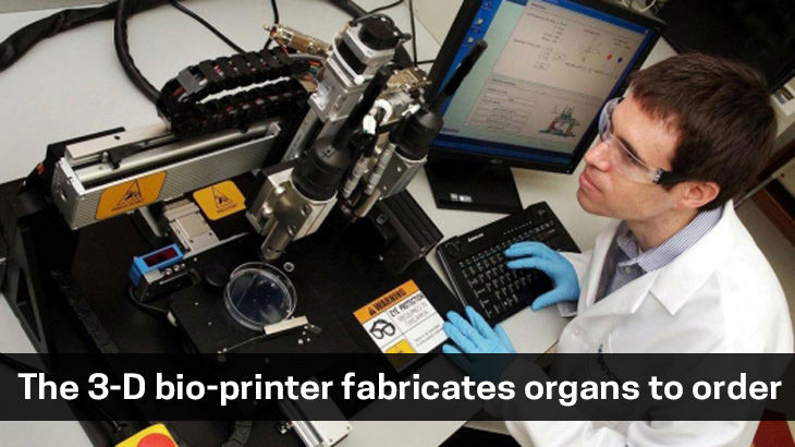 the 3-D bio-printer fabricates organs to order