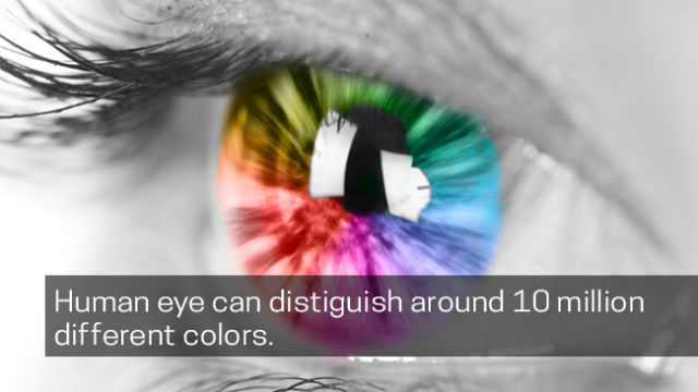 human eye can distiguish around 10 million different colors.