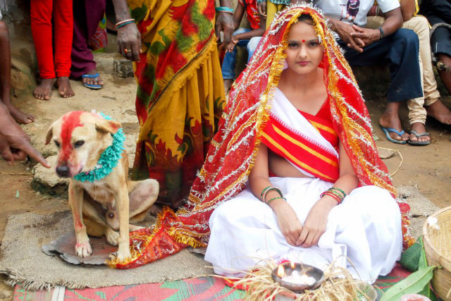Teen forced to marry a stray Dog