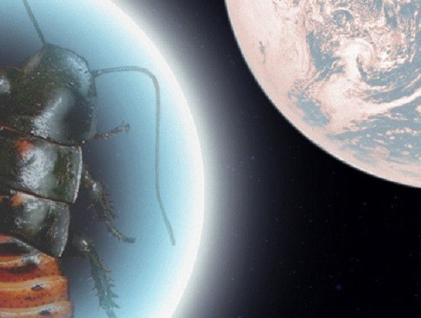 super cockroaches from space