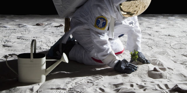 NASA plans to grow plants on the Moon