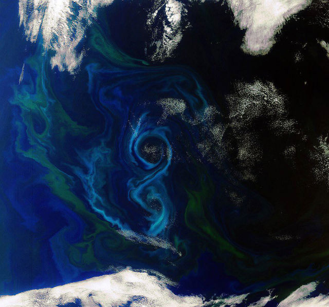 Phytoplankton as seen from space