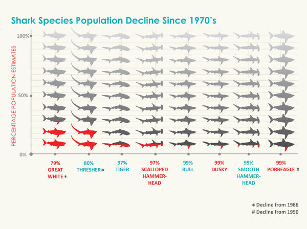sharks population