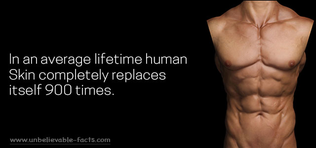 Human skin replacement in lifetime
