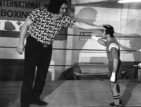 Andre the giant was huge