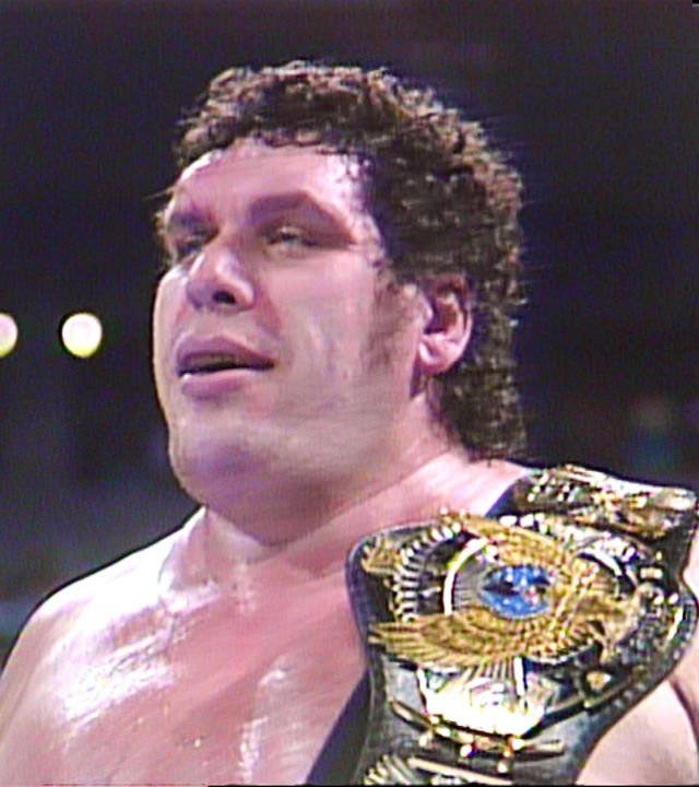 Andre the giant WWE Hall of Fame