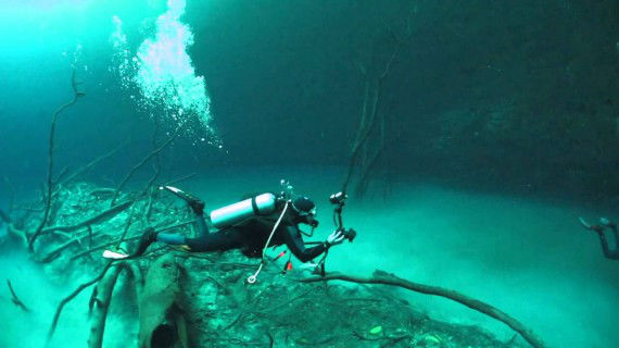 The underwater river of Cenote Angelita