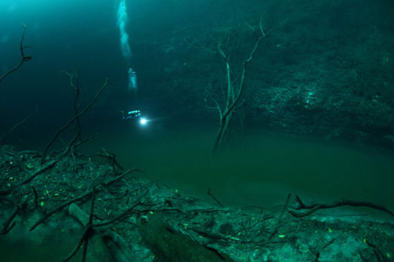 breathtaking view of underwater river