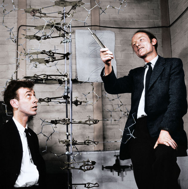 James Watson and Francis Crick