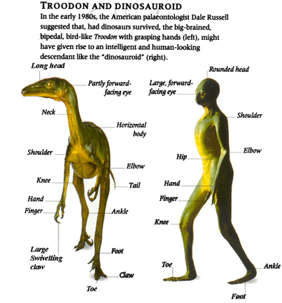 Troodon and Dinosauroid