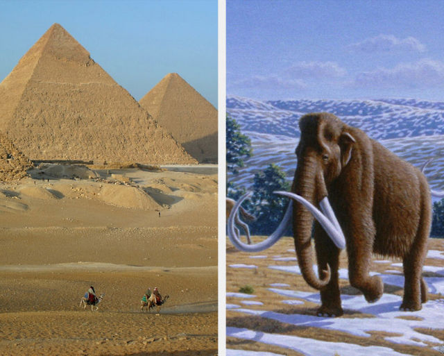 the Great Pyramids and Woolly Mammoths 