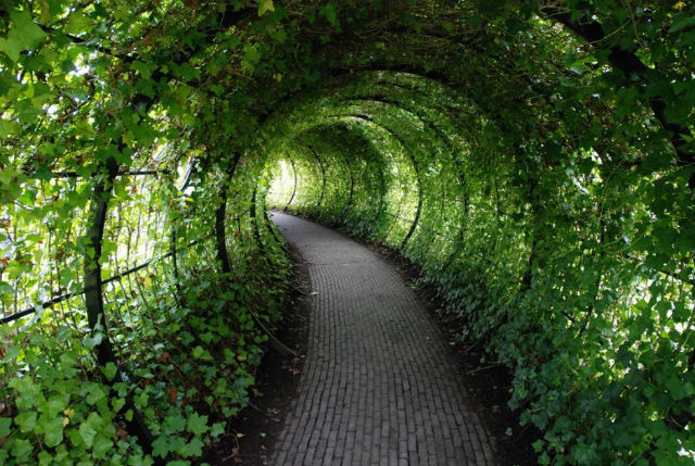 Walk though tunnel to Poison Garden