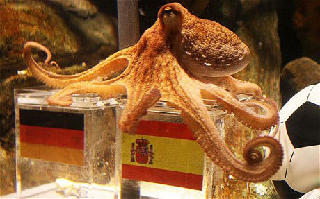 Paul the Octopus