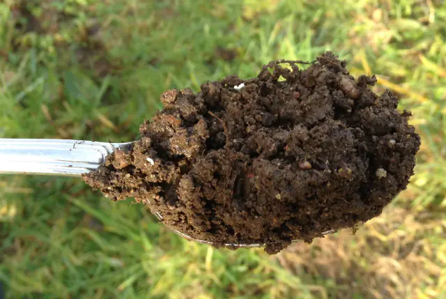 Teaspoonful of Soil