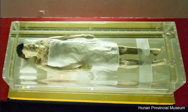 Facts About Mummies, Lady Dai Mummy