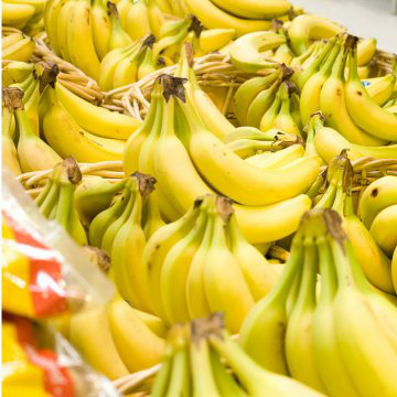 Domestication of Fruits and Vegetables, Modern Banana