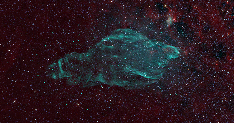 Manatee Nebula