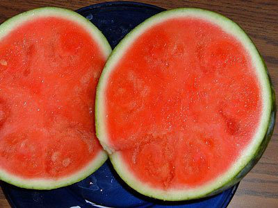 Domestication of Fruits and Vegetables, Modern watermelon
