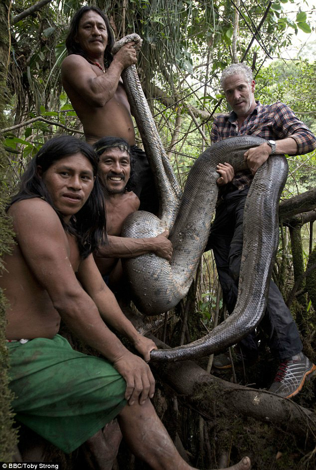 17 feet long anaconda