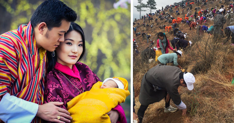 Bhutan planted trees on the birth of prince