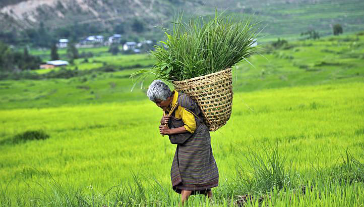 Organic farming in Bhutan