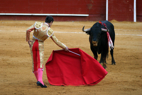matador and bull