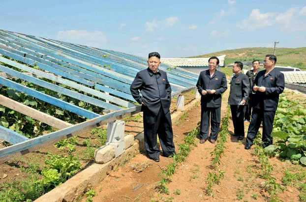 North Korean farm