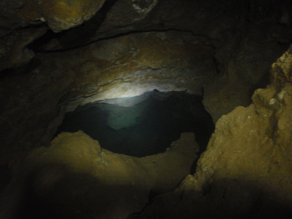 movile cave
