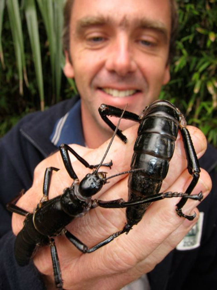 Patrick Honan with tree lobster