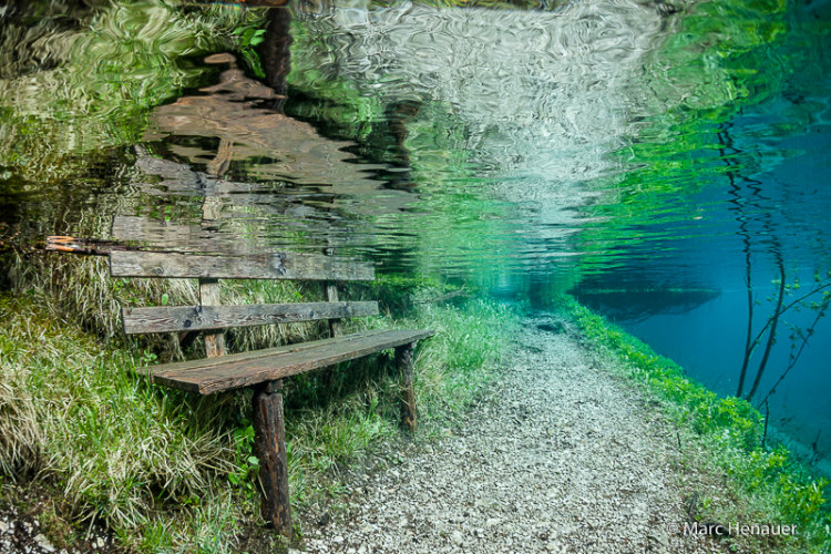 Bench Under Grüner See
