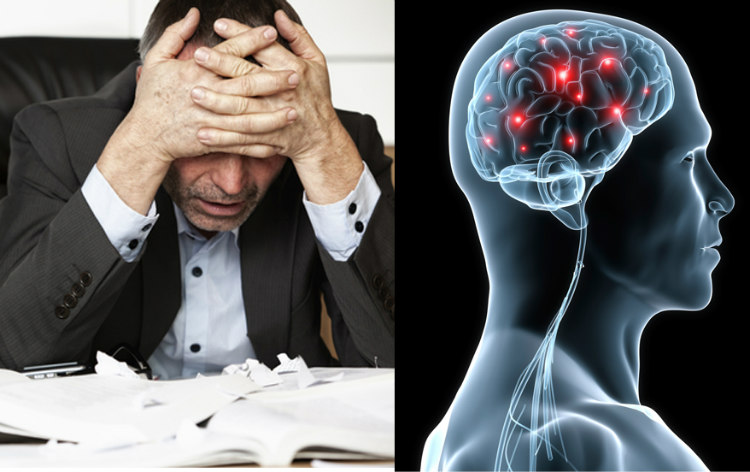 Stress and Brain Damage