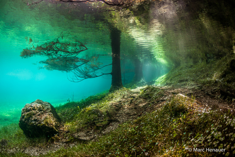 Green Lake underwater