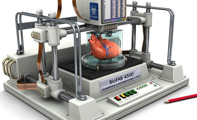 3D Printing Organs