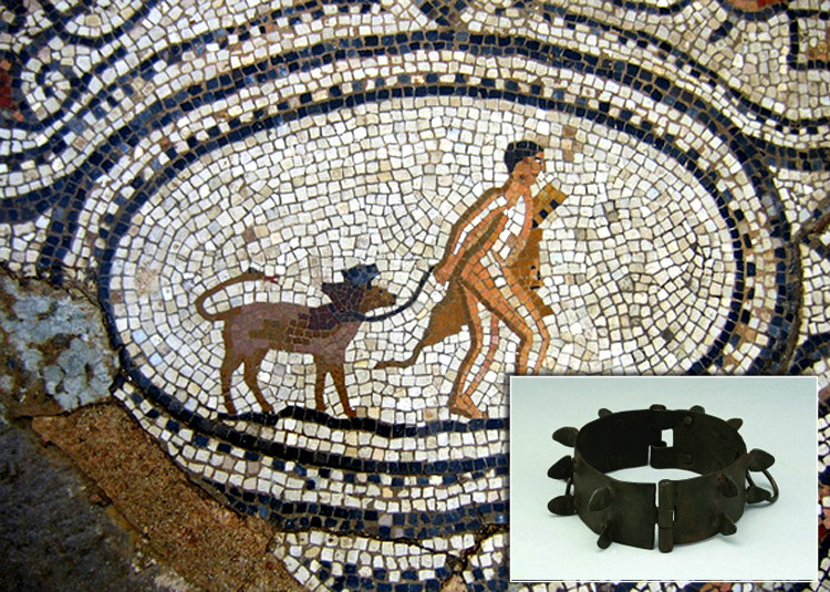 Ancient Greece Dog Collar