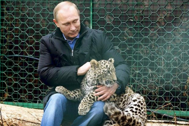 Vladimir Putin with Persian Leopard