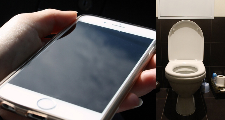smartphone has more germs than a toilet seat.