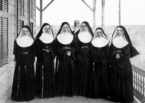 Meowing And Biting Nuns