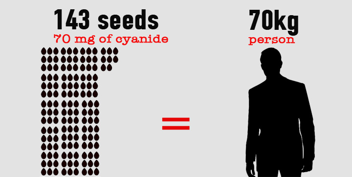 Apple seeds cyanide