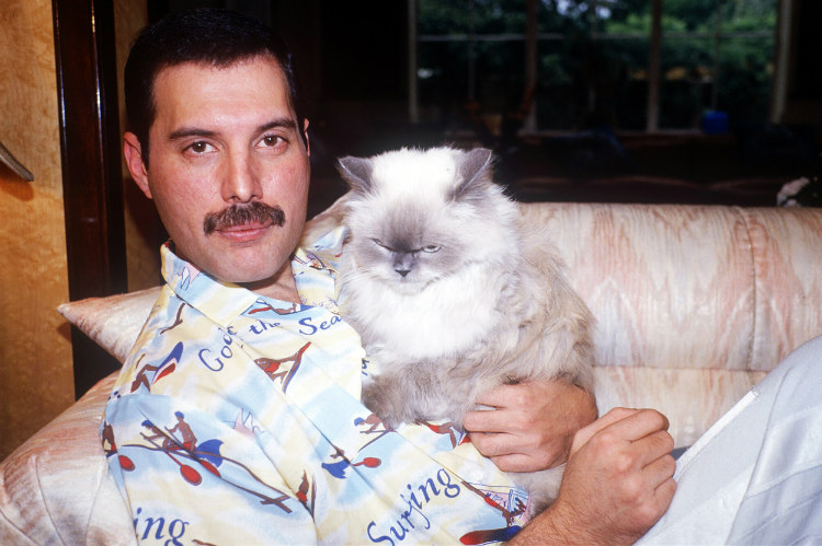 Freddie Mercury and His Cat