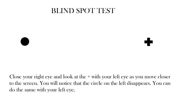 Blind Spot Test