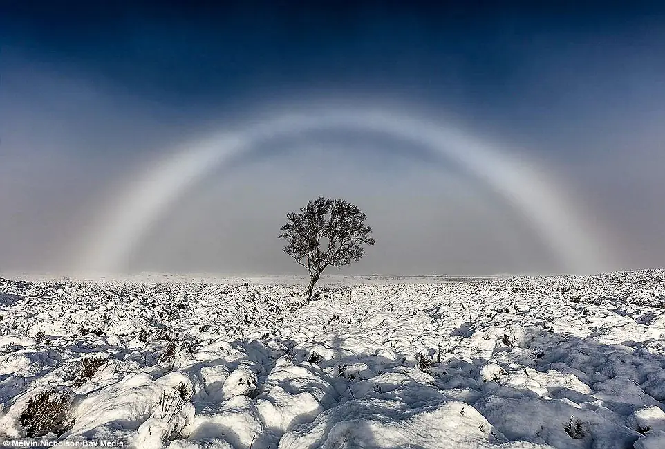 fogbow,